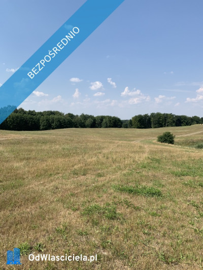 Sprzedam działki nad jeziorem - Drawsko Pomorskie  -
zachodniopomorskie Zdjęcie nr 7