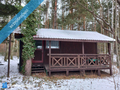 Działka leśna idealna na rekreację - Dęba  - łódzkie