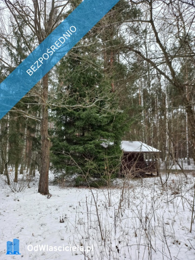 Działka leśna idealna na rekreację - Dęba  -
łódzkie Zdjęcie nr 2