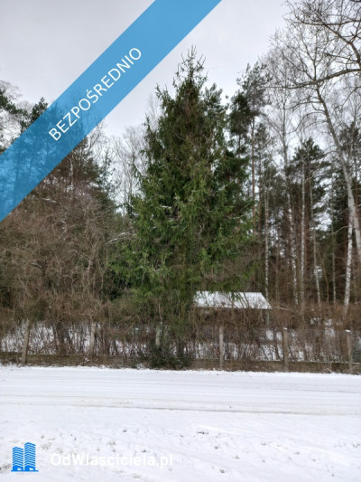 Działka leśna idealna na rekreację - Dęba  -
łódzkie Zdjęcie nr 6