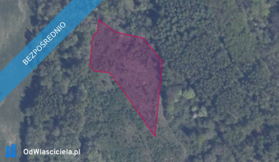 Działka 4269 w Pręgowie Górnym - Pręgowo  - pomorskie