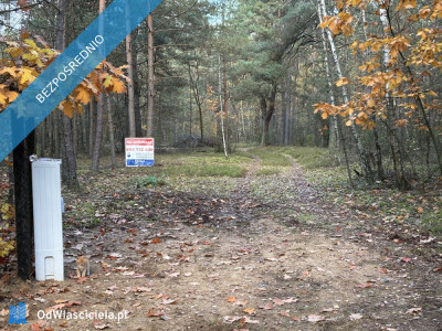 Działka leśna z możliwością zabudowy w MPZP - Rynia  -
mazowieckie Zdjęcie nr 2