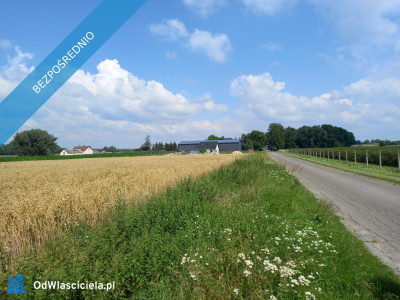 Sprzedam działkę rolno-budowlaną w okolicy Płońska - Płońsk  - mazowieckie