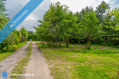 Obniżka ceny 45000 zł Działka w ciszy i zielonej okolicy nad morzem - Wolin  -
zachodniopomorskie Zdjęcie nr 7