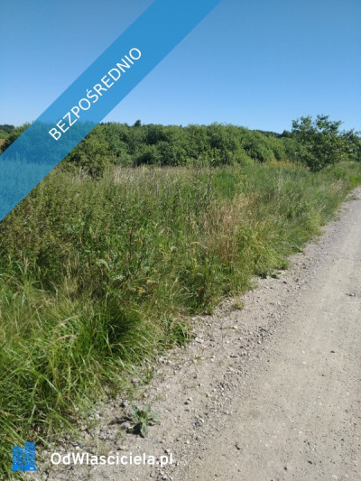 blisko do  miasta i do lasu z działki - Jesionowo  -
warmińsko-mazurskie Zdjęcie nr 9