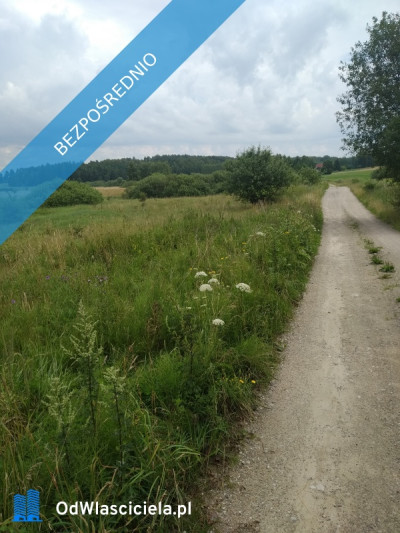 blisko do  miasta i do lasu z działki - Jesionowo  -
warmińsko-mazurskie Zdjęcie nr 10