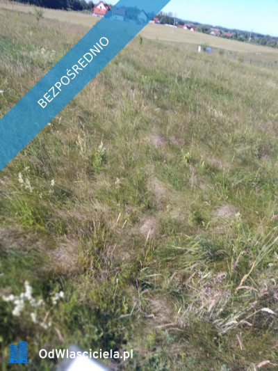 blisko do  miasta i do lasu z działki - Jesionowo  -
warmińsko-mazurskie Zdjęcie nr 11