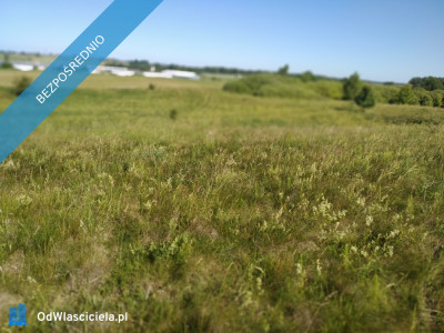 blisko do  miasta i do lasu z działki - Jesionowo  -
warmińsko-mazurskie Zdjęcie nr 3