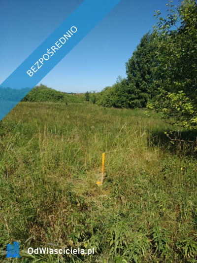 blisko do  miasta i do lasu z działki - Jesionowo  -
warmińsko-mazurskie Zdjęcie nr 4