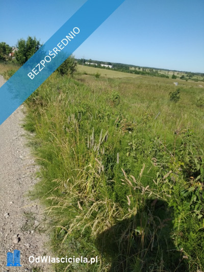 blisko do  miasta i do lasu z działki - Jesionowo  -
warmińsko-mazurskie Zdjęcie nr 5