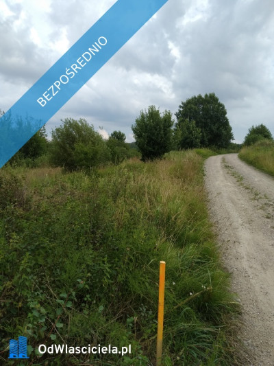 blisko do  miasta i do lasu z działki - Jesionowo  -
warmińsko-mazurskie Zdjęcie nr 8