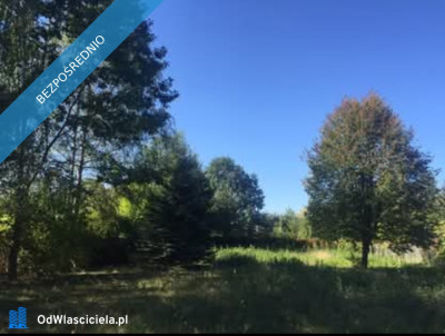 Kuligów piękny teren pod dom - Kuligów  -
mazowieckie Zdjęcie nr 2