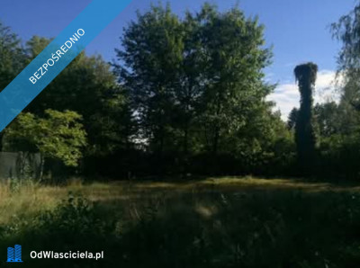 Kuligów piękny teren pod dom - Kuligów  -
mazowieckie Zdjęcie nr 3