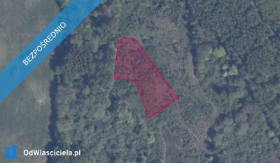 Działka 42610 w Pręgowie Górnym - Pręgowo  - pomorskie