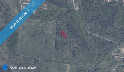 Działka 42610 w Pręgowie Górnym - Pręgowo  -
pomorskie Zdjęcie nr 2