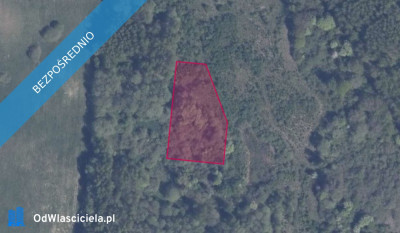 Działka 42611 w Pręgowie Górnym - Pręgowo  - pomorskie