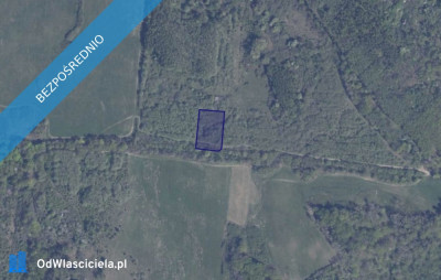 Działka 42616 w Pręgowie Górnym - Pręgowo  - pomorskie