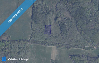 Działka 42617 w Pręgowie Górnym - Pręgowo  - pomorskie