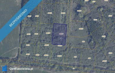 Działka 42617 w Pręgowie Górnym - Pręgowo  -
pomorskie Zdjęcie nr 2
