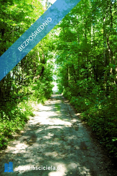 7810m2działka bud 4965m22845m2LAS - Kania Góra  -
łódzkie Zdjęcie nr 15