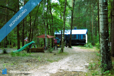 7810m2działka bud 4965m22845m2LAS - Kania Góra  -
łódzkie Zdjęcie nr 17