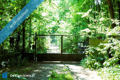 7810m2działka bud 4965m22845m2LAS - Kania Góra  -
łódzkie Zdjęcie nr 18