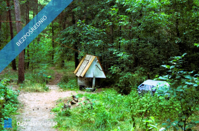 7810m2działka bud 4965m22845m2LAS - Kania Góra  -
łódzkie Zdjęcie nr 20