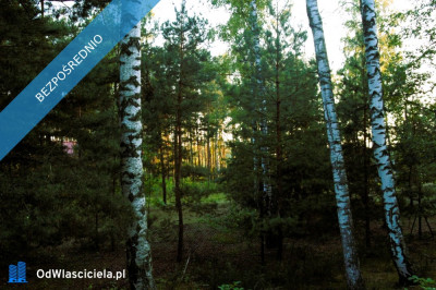 7810m2działka bud 4965m22845m2LAS - Kania Góra  -
łódzkie Zdjęcie nr 3
