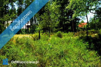 7810m2działka bud 4965m22845m2LAS - Kania Góra  -
łódzkie Zdjęcie nr 5