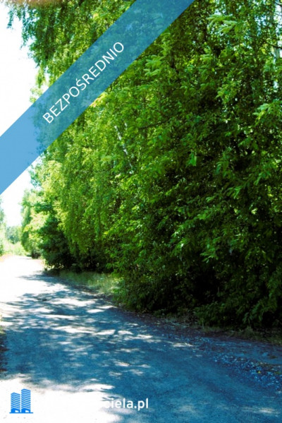 7810m2działka bud 4965m22845m2LAS - Kania Góra  -
łódzkie Zdjęcie nr 8