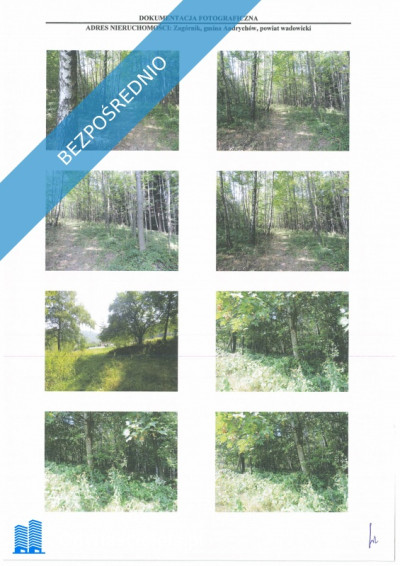 Syndyk sprzeda nieruchomości gruntową niezabudowaną w miejscowości Zagórnik powiat wadowicki województwo małopolskie - Zagórnik  -
małopolskie Zdjęcie nr 3