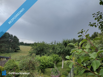 Działka ROD z domkiem 2025  Aleksandrów Kujawski rower - Aleksandrów Kujawski  -
kujawsko-pomorskie Zdjęcie nr 10