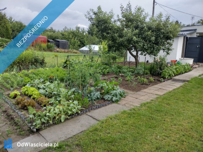 Działka ROD z domkiem 2025  Aleksandrów Kujawski rower - Aleksandrów Kujawski  -
kujawsko-pomorskie Zdjęcie nr 4