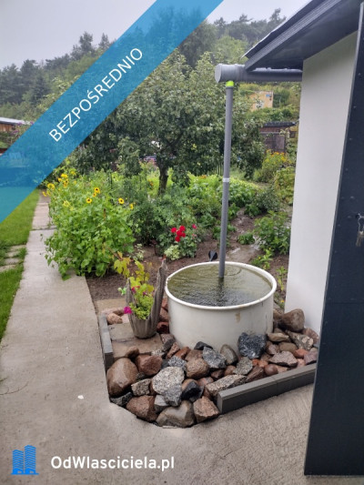 Działka ROD z domkiem 2025  Aleksandrów Kujawski rower - Aleksandrów Kujawski  -
kujawsko-pomorskie Zdjęcie nr 8