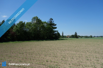 Skoczów Pruchna 115 ha z prawem zabudowy w samym centrum  - Skoczów  -
śląskie Zdjęcie nr 6