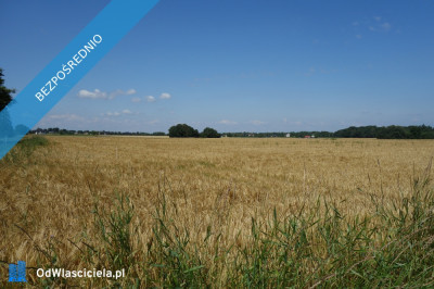 Skoczów Pruchna 115 ha z prawem zabudowy w samym centrum  - Skoczów  -
śląskie Zdjęcie nr 8
