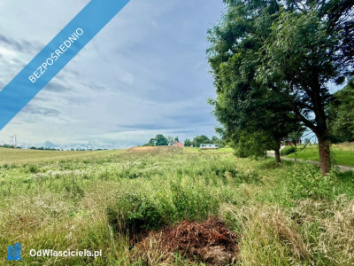 Duża działka 6000 m w Demlinie  spokój natura i szybki dojazd do miasta - Demlin  -
pomorskie Zdjęcie nr 4