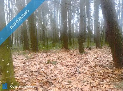 Syndyk sprzeda Nieruchomość w Pobłociu - Pobłocie  - pomorskie