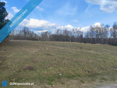 Działki budowlane na sprzedaż  - Białka  -
mazowieckie Zdjęcie nr 8