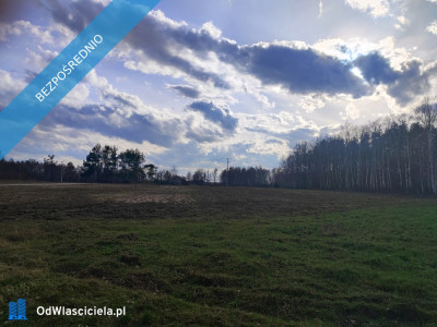 Działki budowlane na sprzedaż  - Białka  -
mazowieckie Zdjęcie nr 4