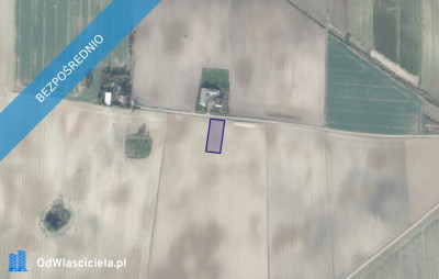 Działka 3721 w miejscowości Sękowo - Sękowo  - wielkopolskie