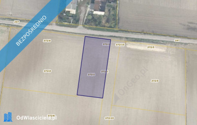 Działka 3721 w miejscowości Sękowo - Sękowo  -
wielkopolskie Zdjęcie nr 2