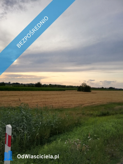 Bednary-Kolonia gm Nieborów Działka budowlana 877m2 - Bednary-Kolonia  -
łódzkie Zdjęcie nr 5