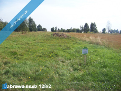 Sprzedam działkę  - Dąbrowa  -
mazowieckie Zdjęcie nr 2