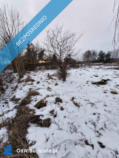 2000 m Działki Budowlanej - Chełstów  - dolnośląskie