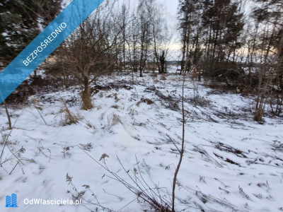 2000 m Działki Budowlanej - Chełstów  -
dolnośląskie Zdjęcie nr 5