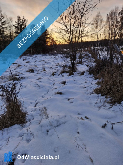 1000 m Działki Budowlanej - Chełstów  -
dolnośląskie Zdjęcie nr 4