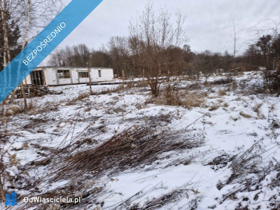 1000 m Działki Budowlanej - Chełstów  -
dolnośląskie Zdjęcie nr 6