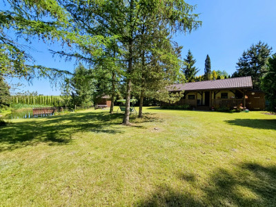 Działka rekreacyjna 1950 m2  dom 35 m2  100 metrów jezioro Głowińskie - Osetno  -
warmińsko-mazurskie Zdjęcie nr 16