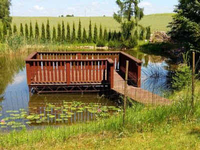 Działka rekreacyjna 1950 m2  dom 35 m2  100 metrów jezioro Głowińskie - Osetno  -
warmińsko-mazurskie Zdjęcie nr 4